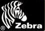 Zebra-   